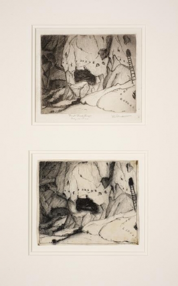 Will Shuster