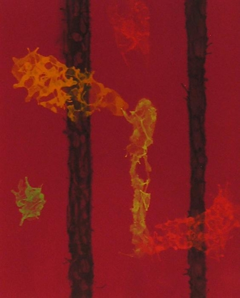 Raymond Jonson