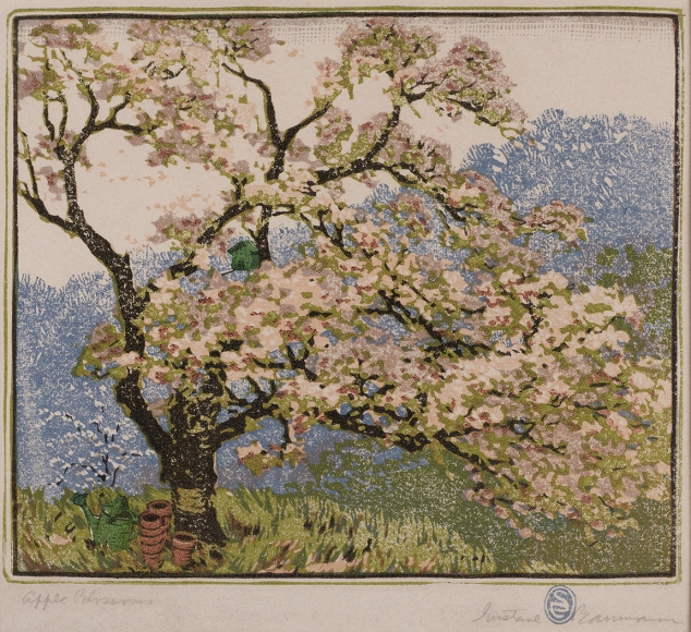 Apple Blossoms