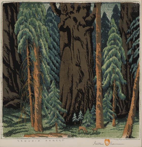 Sequoia
