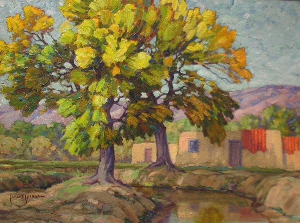 Cottonwoods Alcalde
