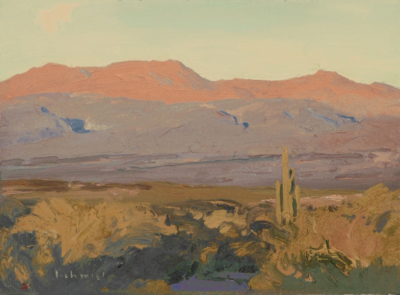 chmiel mcdowell mountain park arizona oil