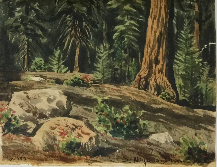MAYNARD DIXON REDWOODS WATERCOLOR DETAIL