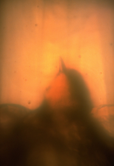 You Are Here, DG Krueger, conceptual photographs, 1997