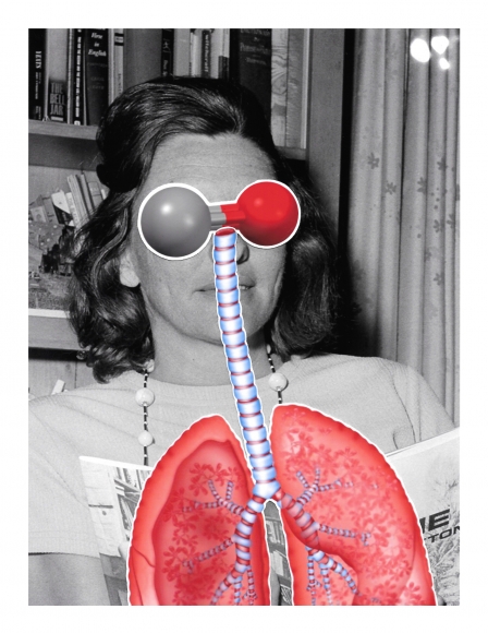Anne_carbon monoxide, 2017, DG Krueger, collage, Vanishing Acts
