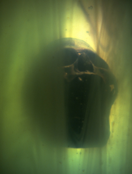You Are Here, DG Krueger, conceptual photographs, 1997