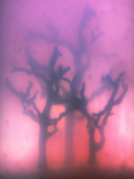 You Are Here, DG Krueger, conceptual photographs, 1997