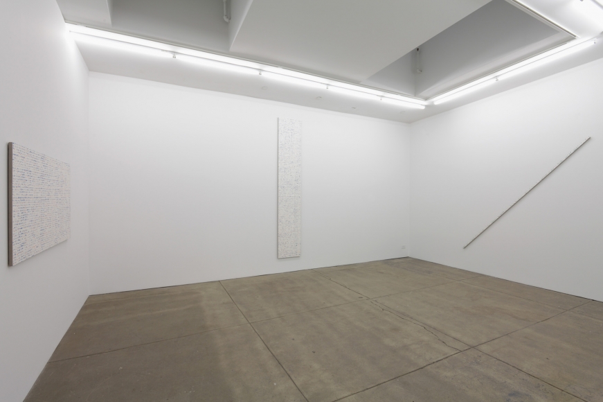 Robert Macaire Chromachromes, Andrew Kreps Gallery, New York, May 2 - July 4, 2009