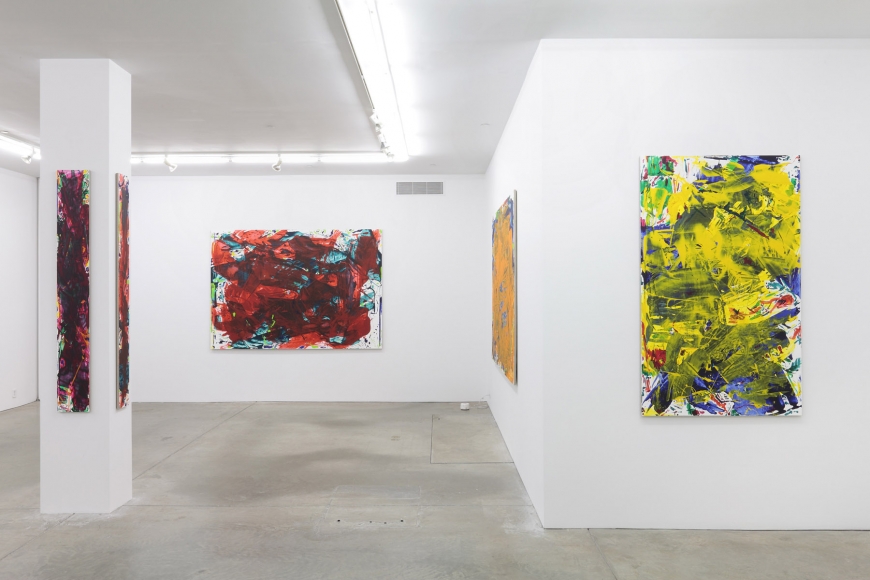 Sometimes Some Pictures Somewhere, Andrew Kreps Gallery, New York, May 19 - June 30, 2012