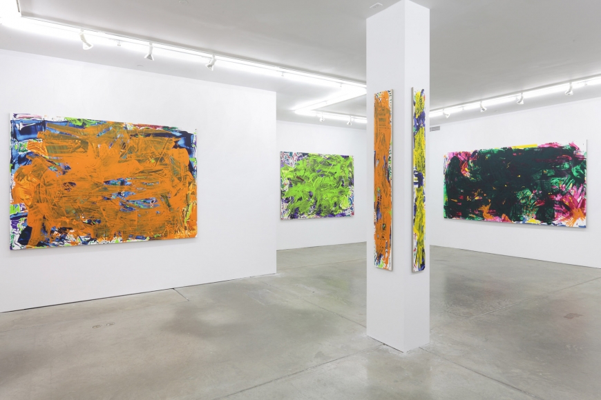 Sometimes Some Pictures Somewhere, Andrew Kreps Gallery, New York, May 19 - June 30, 2012