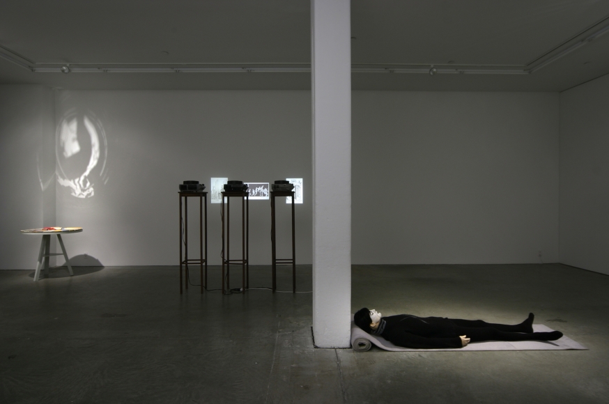 What's In a Name, Andrew Kreps Gallery, New York, February 17 - March 24, 2007