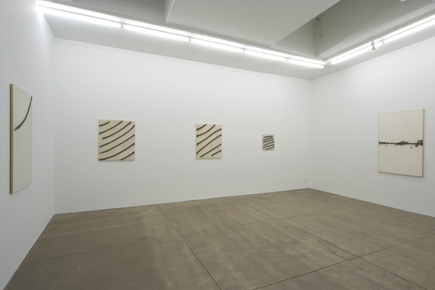 Andrew Kreps Gallery, New York, May 3 - June 7, 2008
