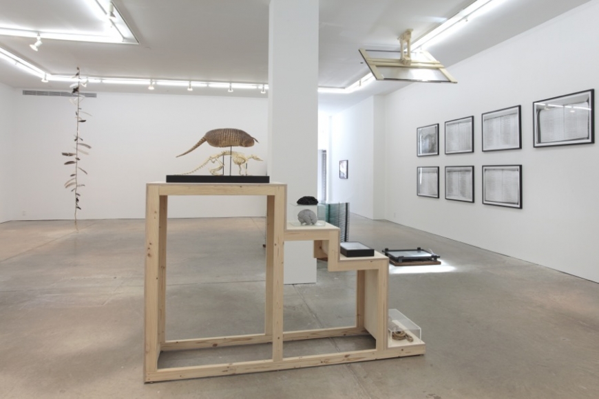 If You Leave Me I'm Not Following, Andrew Kreps Gallery, New York, February 18 - March 24, 2012