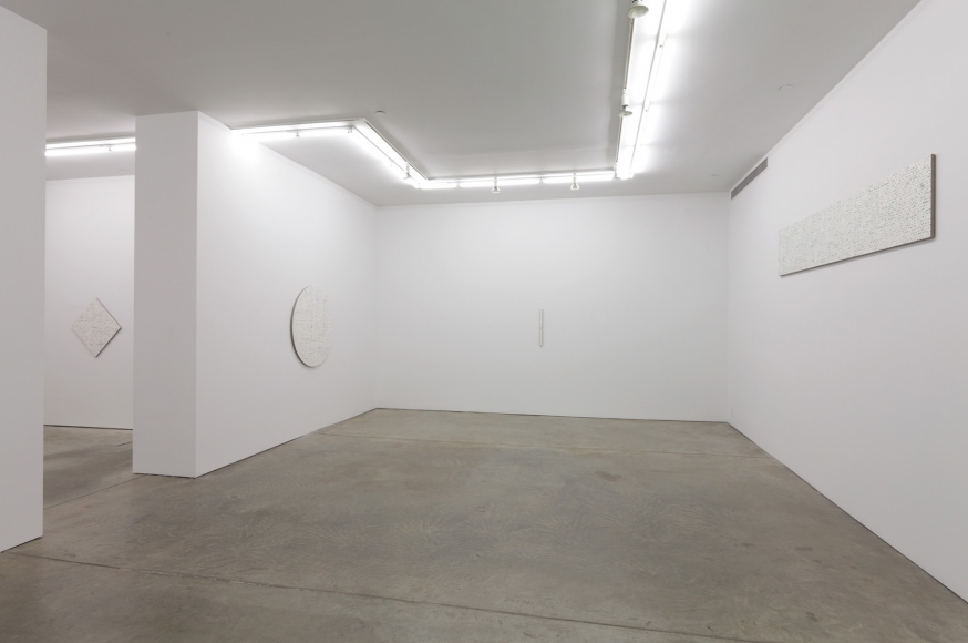 Robert Macaire Chromachromes, Andrew Kreps Gallery, New York, May 2 - July 4, 2009