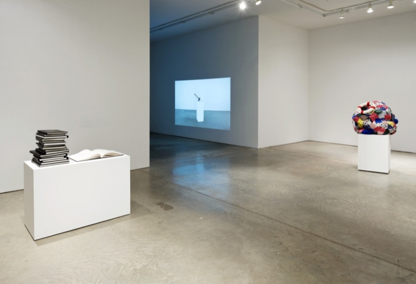 Andrew Kreps Gallery, New York, February 18 - March 20, 2010