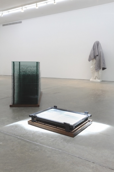 If You Leave Me I'm Not Following, Andrew Kreps Gallery, New York, February 18 - March 24, 2012