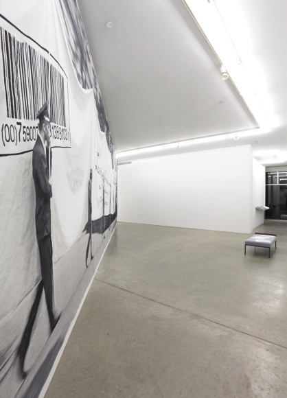 Untitled, Andrew Kreps Gallery, New York, November 3 - December 22, 2012