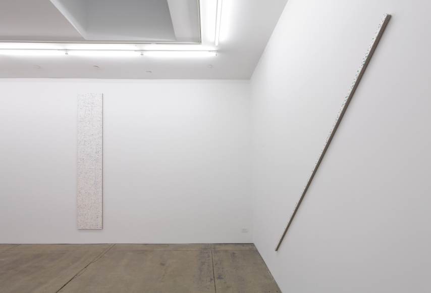 Robert Macaire Chromachromes, Andrew Kreps Gallery, New York, May 2 - July 4, 2009