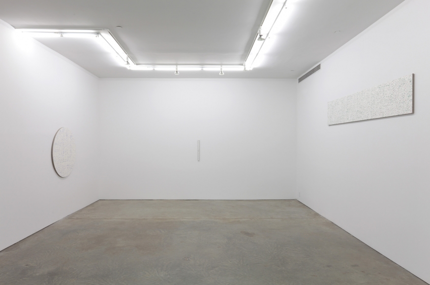 Robert Macaire Chromachromes, Andrew Kreps Gallery, New York, May 2 - July 4, 2009
