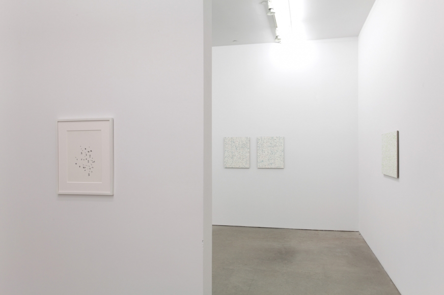 Robert Macaire Chromachromes, Andrew Kreps Gallery, New York, May 2 - July 4, 2009