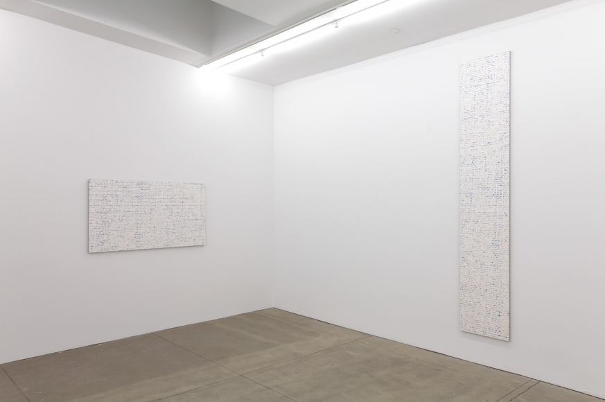 Robert Macaire Chromachromes, Andrew Kreps Gallery, New York, May 2 - July 4, 2009