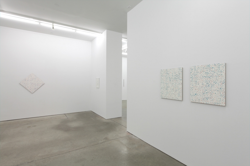 Robert Macaire Chromachromes, Andrew Kreps Gallery, New York, May 2 - July 4, 2009