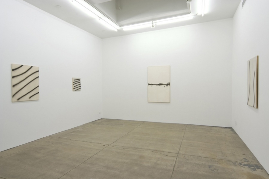 Andrew Kreps Gallery, New York, May 3 - June 7, 2008