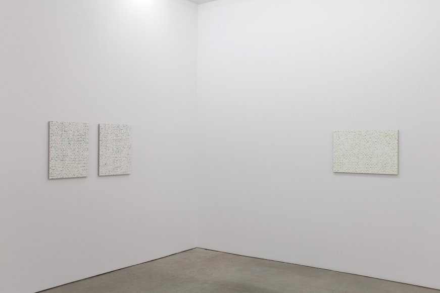 Robert Macaire Chromachromes, Andrew Kreps Gallery, New York, May 2 - July 4, 2009