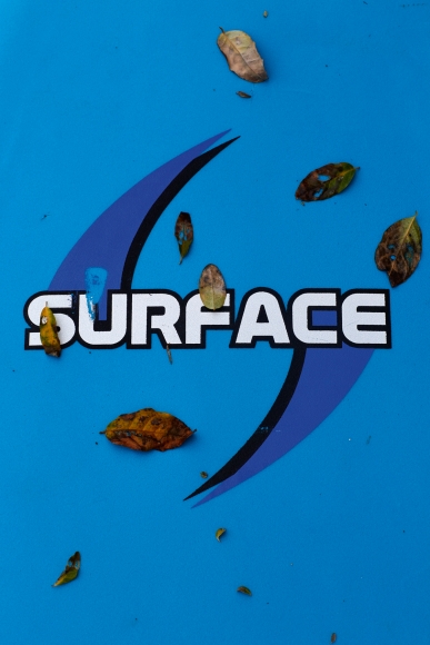 Roe Ethridge Surface, 2013