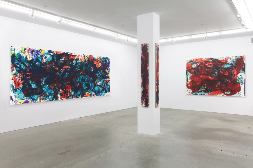 Sometimes Some Pictures Somewhere, Andrew Kreps Gallery, New York, May 19 - June 30, 2012