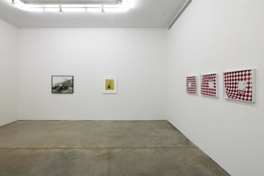 Today, Andrew Kreps Gallery, New York, October 28 - December 22, 2010