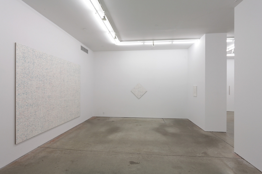 Robert Macaire Chromachromes, Andrew Kreps Gallery, New York, May 2 - July 4, 2009