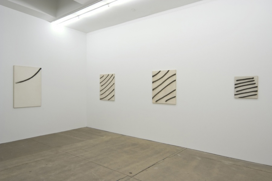 Andrew Kreps Gallery, New York, May 3 - June 7, 2008