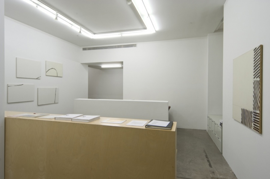 Andrew Kreps Gallery, New York, May 3 - June 7, 2008