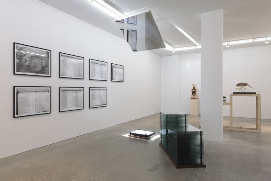 If You Leave Me I'm Not Following, Andrew Kreps Gallery, New York, February 18 - March 24, 2012