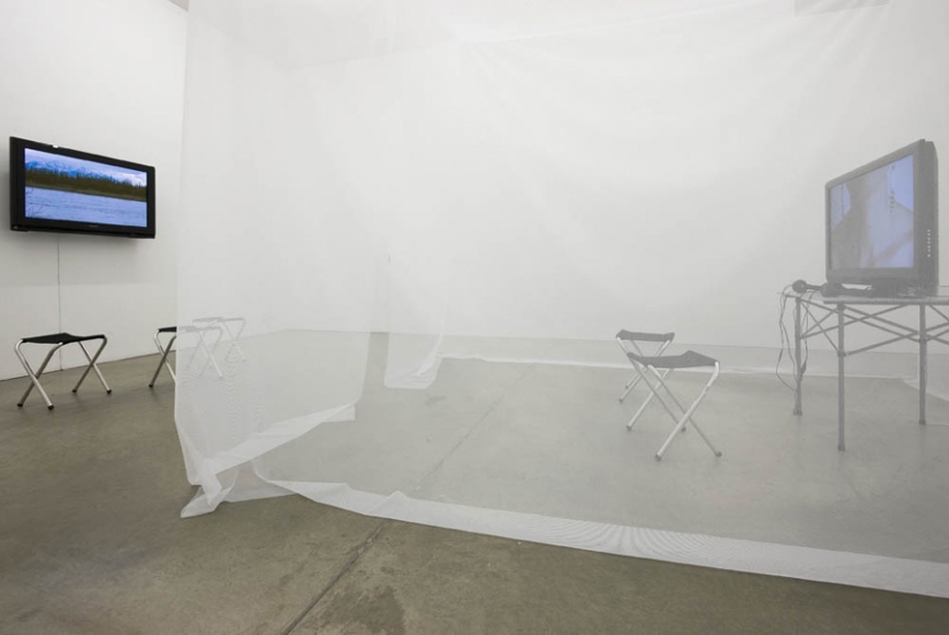 Mercy Mercy Me, Andrew Kreps Gallery, New York, October 24 - December 23, 2009