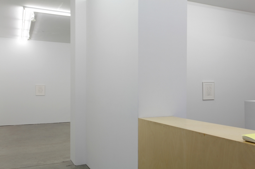 Robert Macaire Chromachromes, Andrew Kreps Gallery, New York, May 2 - July 4, 2009