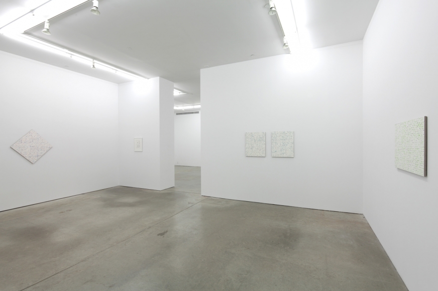 Robert Macaire Chromachromes, Andrew Kreps Gallery, New York, May 2 - July 4, 2009