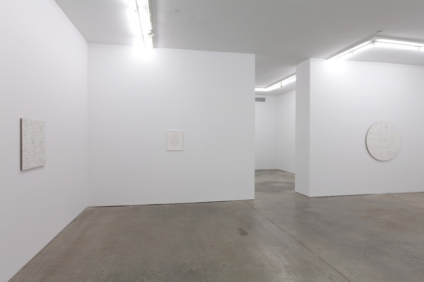 Robert Macaire Chromachromes, Andrew Kreps Gallery, New York, May 2 - July 4, 2009