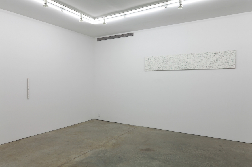 Robert Macaire Chromachromes, Andrew Kreps Gallery, New York, May 2 - July 4, 2009