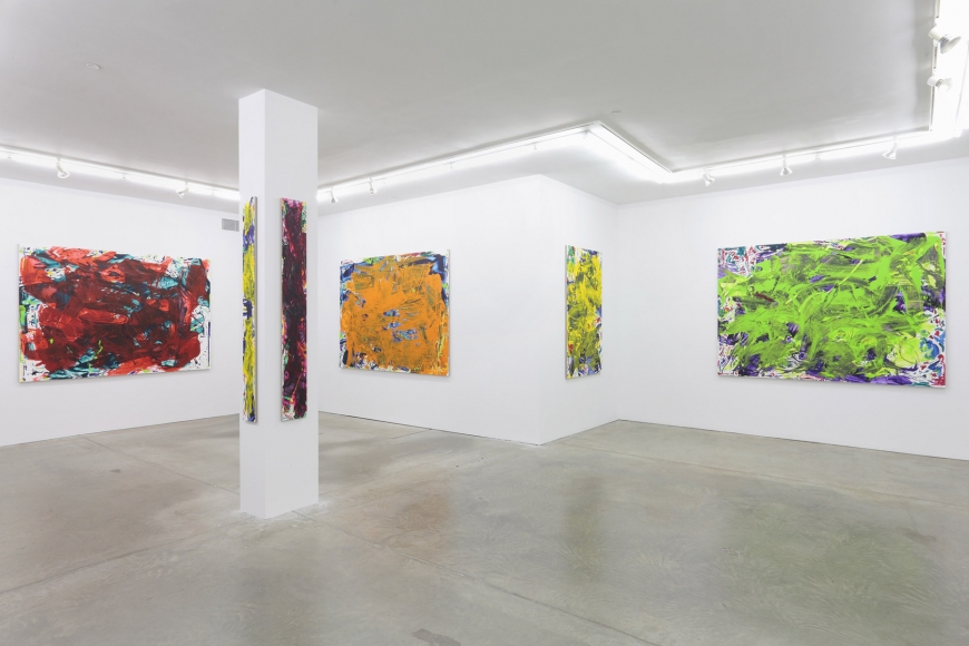 Sometimes Some Pictures Somewhere, Andrew Kreps Gallery, New York, May 19 - June 30, 2012