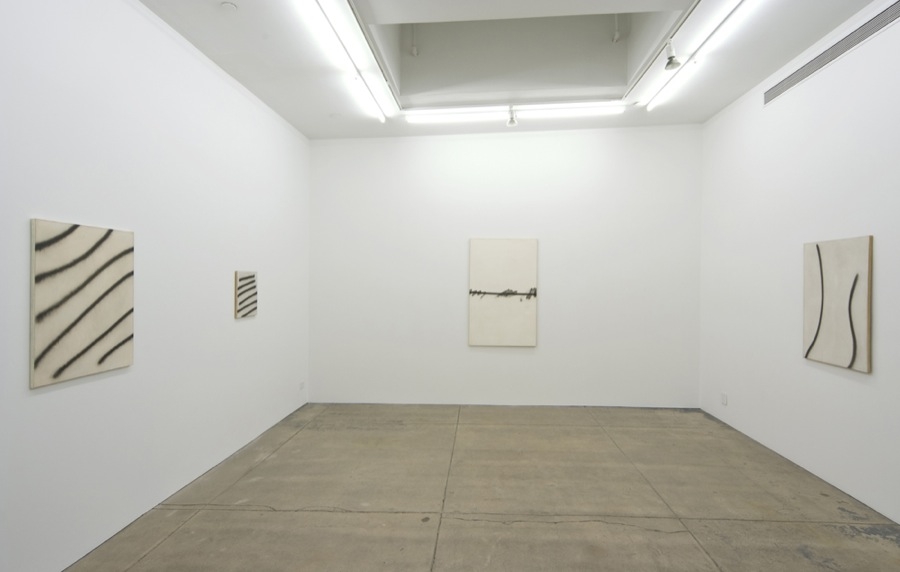 Andrew Kreps Gallery, New York, May 3 - June 7, 2008
