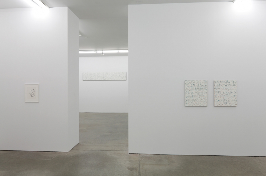 Robert Macaire Chromachromes, Andrew Kreps Gallery, New York, May 2 - July 4, 2009