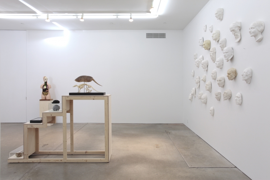 If You Leave Me I'm Not Following, Andrew Kreps Gallery, New York, February 18 - March 24, 2012