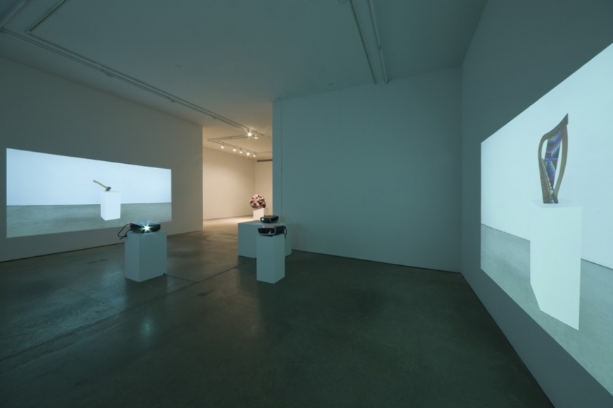 Andrew Kreps Gallery, New York, February 18 - March 20, 2010