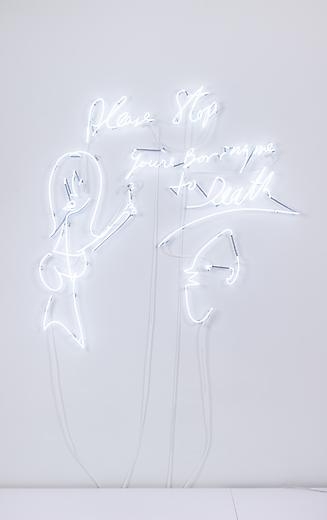 Please Stop You're Boring Me to Death, from the series Visitors