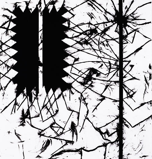 Plaisir Noir 2007