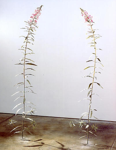 Fireweed 2002-2003 Various materials