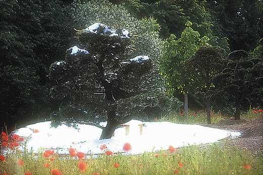 Tsutsumu, In Between, Expo 2000