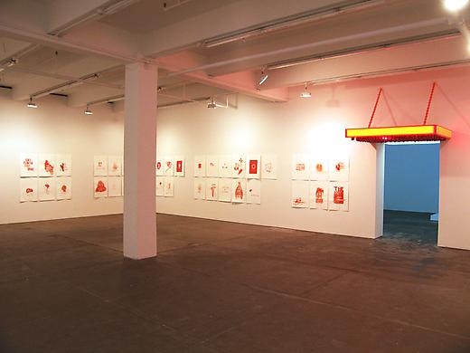 Installation Friedrich Petzel Gallery